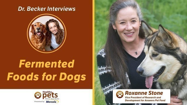 'Dr. Becker Interviews Roxanne Stone About Fermented Foods for Dogs'