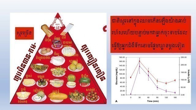 'ទឹកនោមផ្អែមពីរ៉ាមីត Diabetes Food Pyramid កាត់បន្ថយជាតិស្ករនៅក្នុងឈាមតាមធម្មជាតិ អង្គការ មពជ'