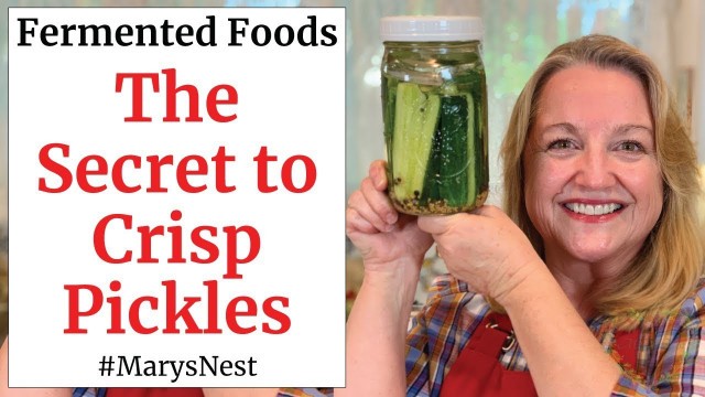 'How to Make CRISP Lacto Fermented Pickles - A Probiotic Rich Food'