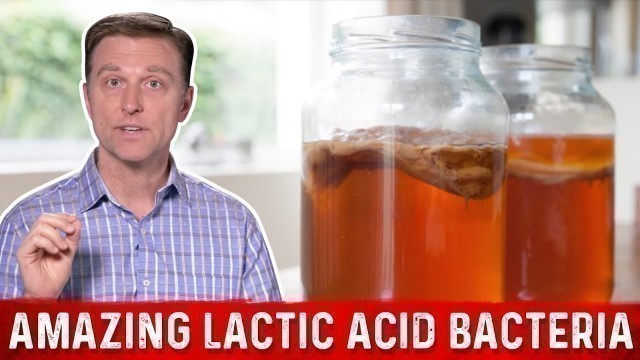 'Lactic Acid Bacteria and Fermented Foods: Benefits – Dr.Berg'