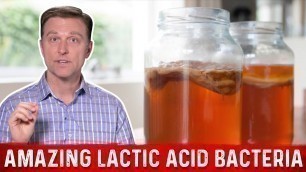 'Lactic Acid Bacteria and Fermented Foods: Benefits – Dr.Berg'