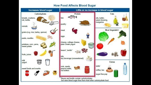 'Adult Type 2 Diabetes - 4. Nutrition Basics'