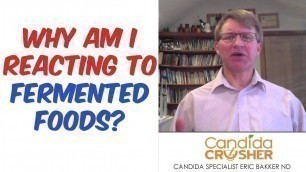 'Im Reacting To Fermented Foods HELP!'