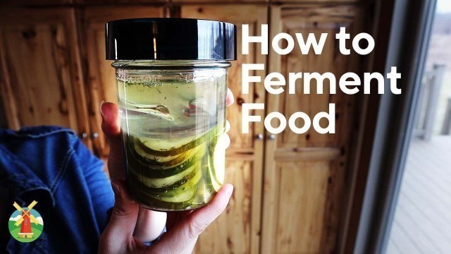 'Fermenting Food 101 (and Fermented Pickles Recipe)'