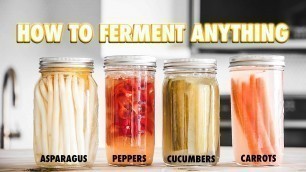 'The Guide to Lacto-Fermentation: How To Ferment Nearly Anything'