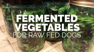 'Fermented Vegetables for Raw Fed Dogs'