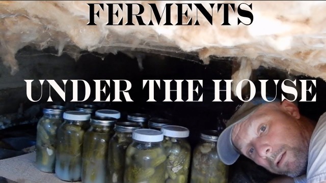 'How Do I Store my Fermented Food? (Crawl Space Cellar)'