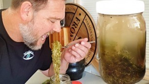 'Fermented SPROUTS in \"POND Water\" Taste Test | Lacto Fermented Food'