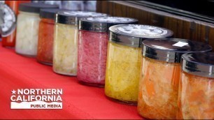 'Bay Area Bountiful: Fermented Foods'