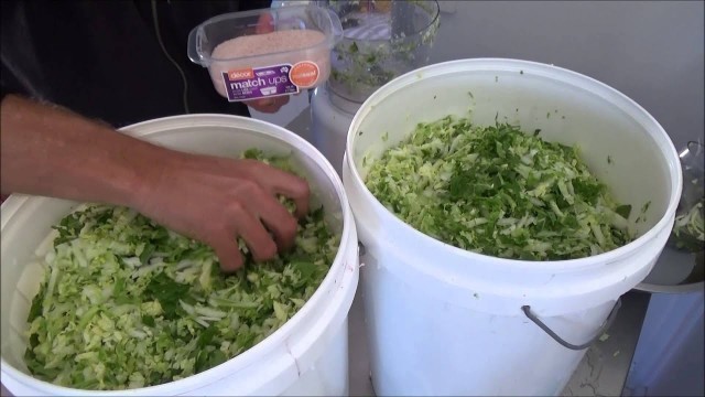 'Fermented Food Making 101 - Tsukemono'