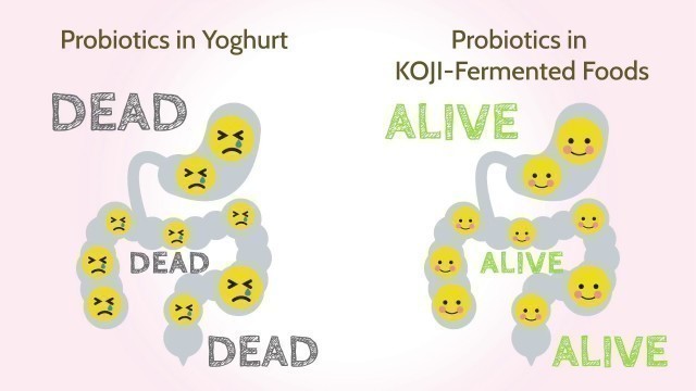 'Power of Koji - behind Japanese fermented foods and seasonings!'