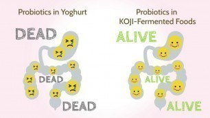 'Power of Koji - behind Japanese fermented foods and seasonings!'