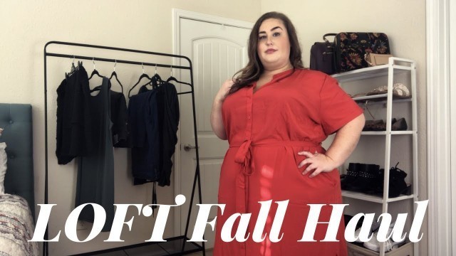 'LOFT Fall Fashion Haul | Plus Size 24/26'