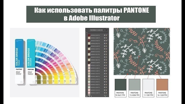 'Как работать с PANTONE в Adobe Illustrator, если у вас не калиброванный монитор и нужно задать цвет'