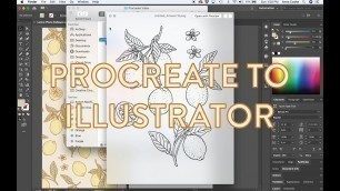 'How to Turn PROCREATE DRAWING to VECTOR in ADOBE ILLUSTRATOR'