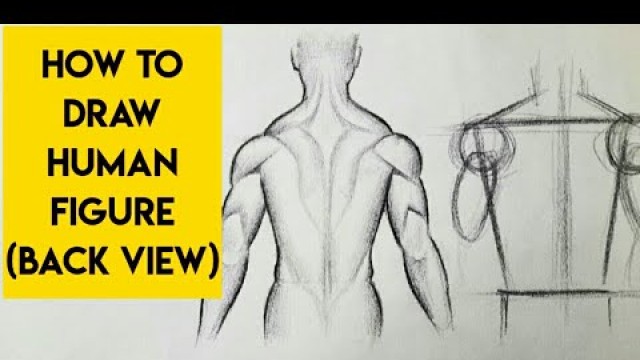 'How to draw human figure drawing Male (back view)for Beginners Anatomy Sketch Pencil drawing lessons'