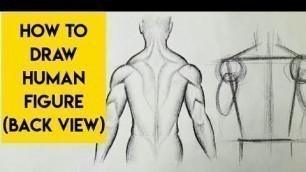 'How to draw human figure drawing Male (back view)for Beginners Anatomy Sketch Pencil drawing lessons'