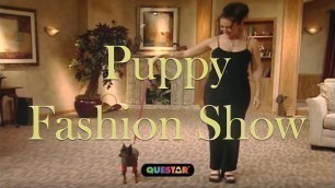 'Puppy Fashion Show'