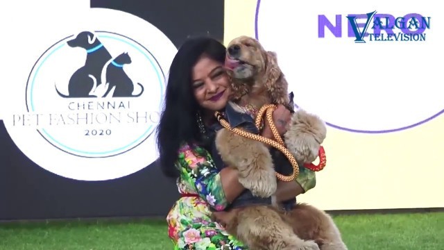 'FASHIONABLE FURRIES Dogs, Cats, Parrot , Fish, & Calf    CHENNAI PET FASHION SHOW 2020   Valgan Tv n'