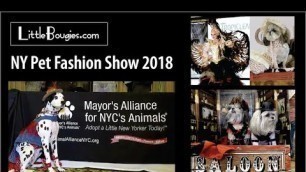 'New York City Pet Fashion Show/littlebougies'