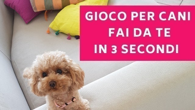 'Gioco fai da te in casa in 3 secondi!'