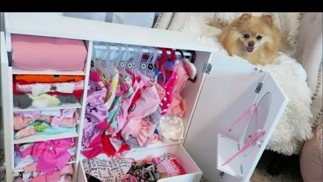 'DOG CLOSET TOUR 2020'