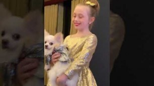 '2020 NY Pet Fashion Show & The Gold Paw Awards Part 2'