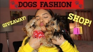 'Dogs Fashion Store | Name Brand Dogs Clothes | Giveaway'