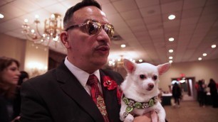 'Dog Fashion: 2017 New York Pet Fashion Show'