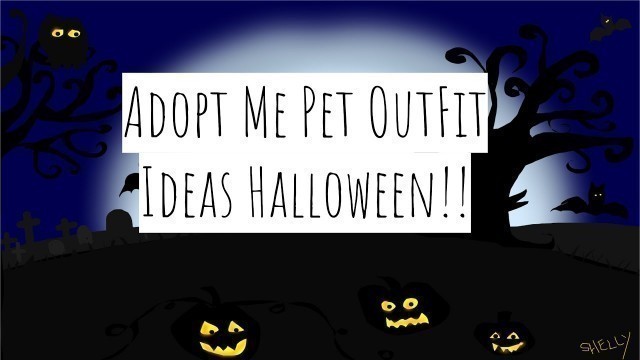 'Part 2 Of Pet Fashion Show (Halloween Edition)'