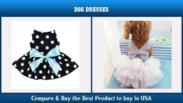 'Top 10 Dog Dresses to buy in USA 2021 | Price & Review'