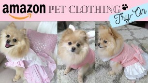 'Amazon Pet Clothing Haul & Try-On | Fashion for Dogs'