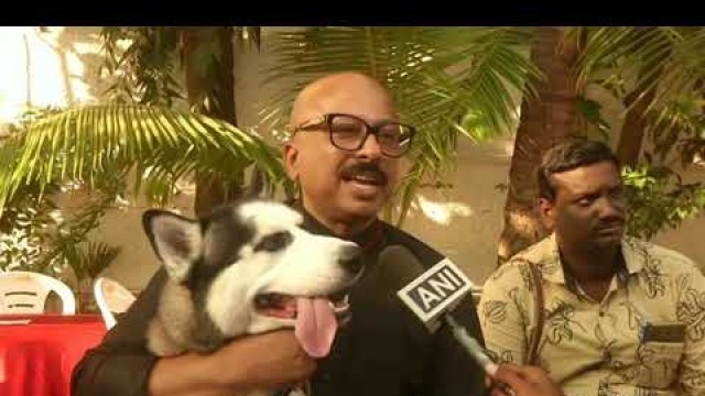 'Indians flaunt their furry friends at pet fashion show in Chennai'