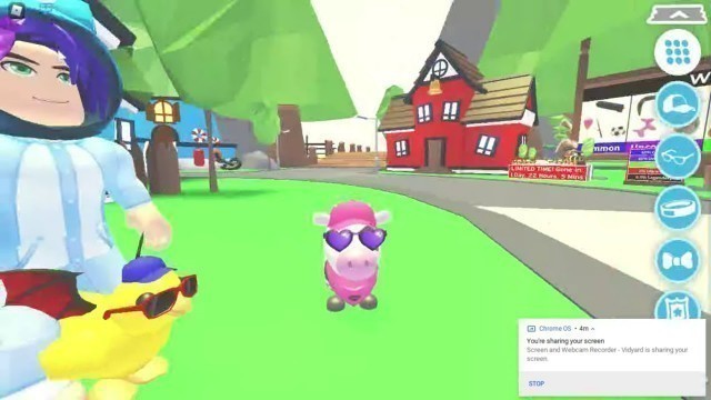 'Pet Fashion Show - Adopt Me - roblox'