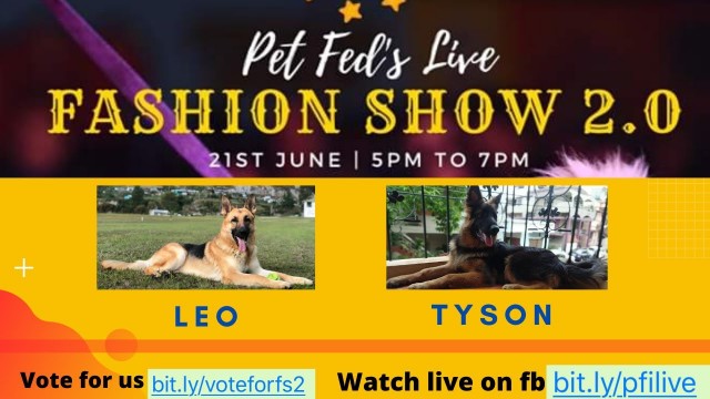 'Pet Fashion Show I Thanks for voting to Tyson and Leo I German Shepherd I Pet Lovers l Grateful'