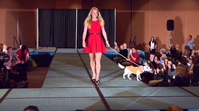 'International Association of Pet Fashion Professionals\' Back-To-School Pet Fashion Show'