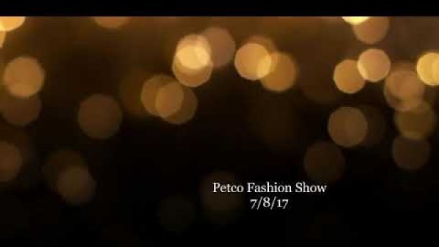 'Pet fashion show at Petco 2017'