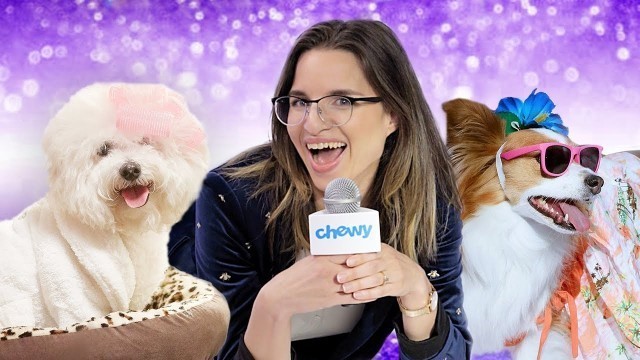 'Pet Fashion Week: The Full Fashion Show | Chewy'