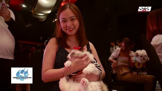 'AGRITV October 20, 2019 Episode -  MISS BERNIE\'S FURRYVENTURE - Pilipinas Pet Fashion Show'