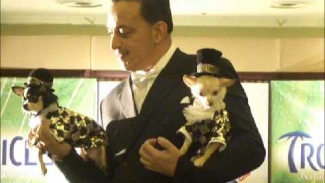 'Anthony Rubio at the New York Pet Fashion Show Runway with Bogie & Kimba'