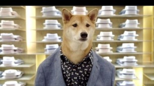 'Menswear Dog offers first date fashion advice'