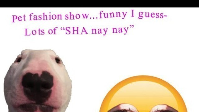 'SHA NAY NAY AND THE PET FASHION SHOW-'