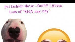 'SHA NAY NAY AND THE PET FASHION SHOW-'