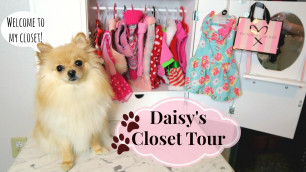 'DOG CLOSET TOUR! Clothes & Accessories | 2018'