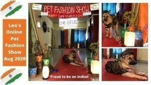 'Leo is a German Shepherd Pet Participated in Online Pet Fashion Show l Theme : Independence day 2020'