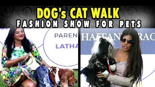 'Chennai PET FASHION SHOW 2020 held at Savera Hotel, Chennai #petfashionshow2020 #taletail #PFA'