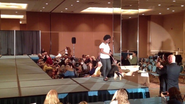 'LEGITIMUTT struts it stuff on the pet fashion show runway'