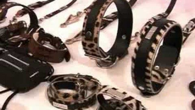 'video-arabic-Pet fashion all the rage as owners bark..'