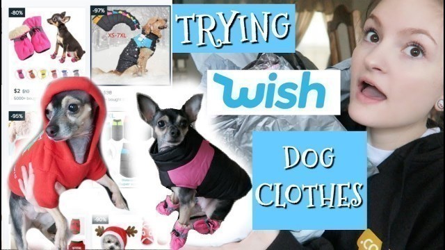 'TRYING CHEAP DOG CLOTHES FROM WISH! *SUCCESS* | Vlogmas Day 8 | 2018 |'