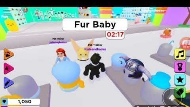 'Roblox pet fashion show'